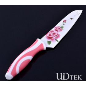 Stainless steel kitchen chef knife fruit knife UDTEK3005